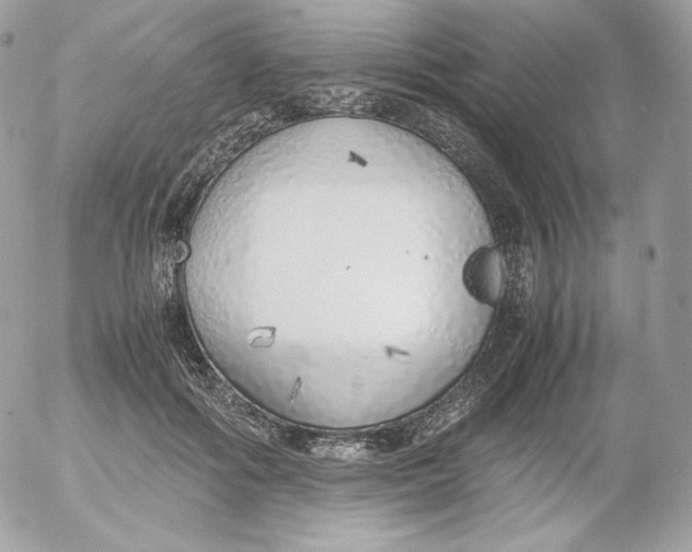 X0000052600602200507221636