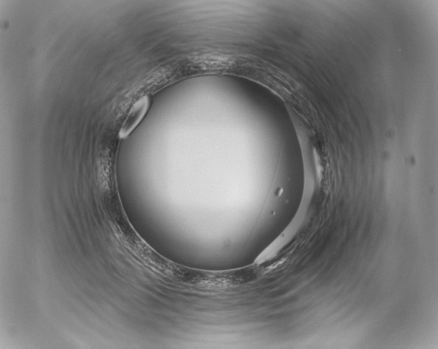 X0000052600604200507221636