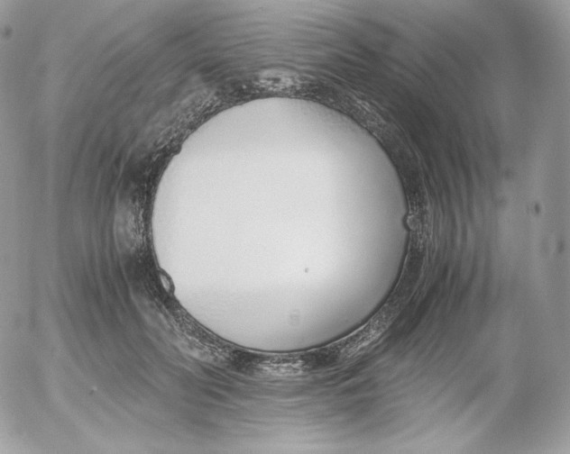 X0000052600606200507221636