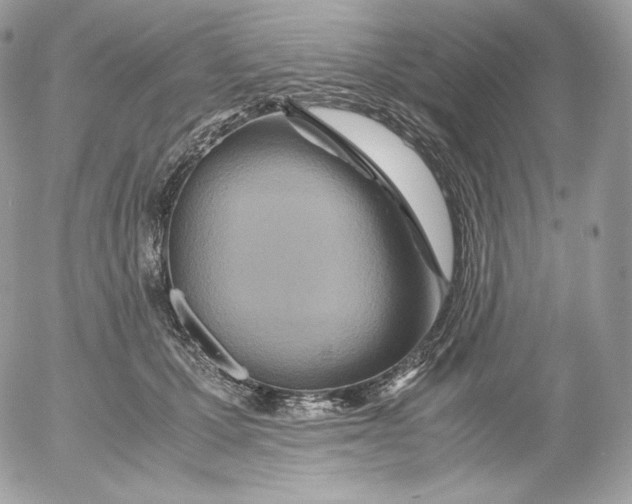 X0000052600607200507221636