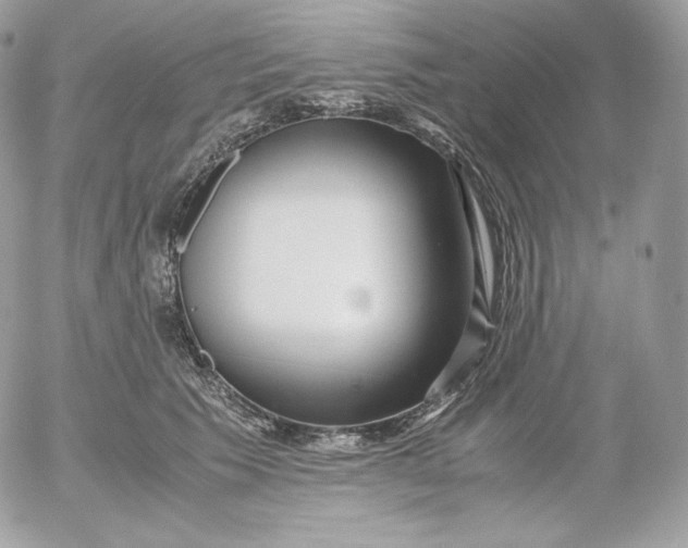 X0000052600609200507221636