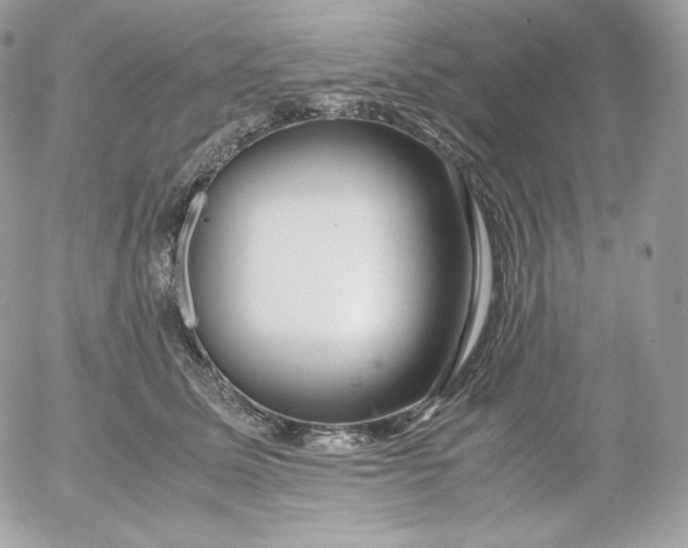 X0000052600611200507221635