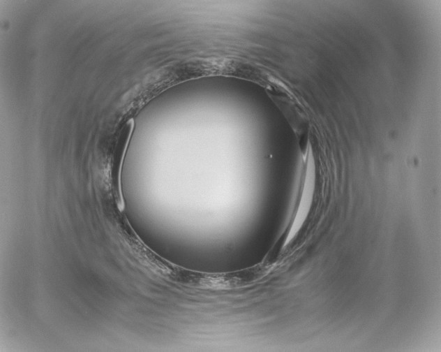 X0000052600613200507221635