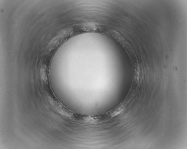 X0000052600616200507221635