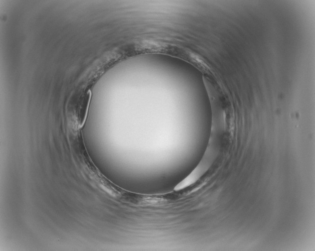 X0000052600617200507221635