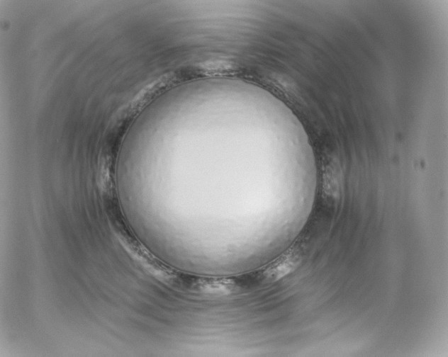 X0000052600618200507221635