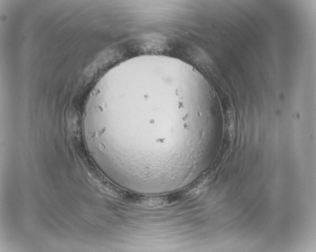 X0000052600619200507221635