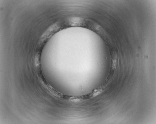 X0000052600620200507221635