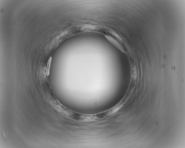 X0000052600621200507221635