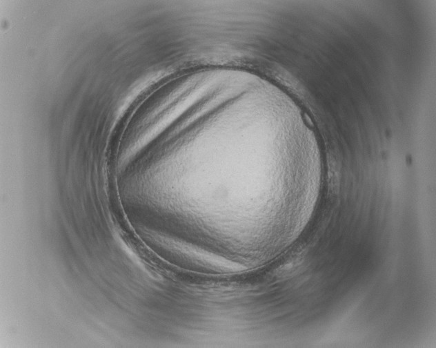 X0000052600626200507221634