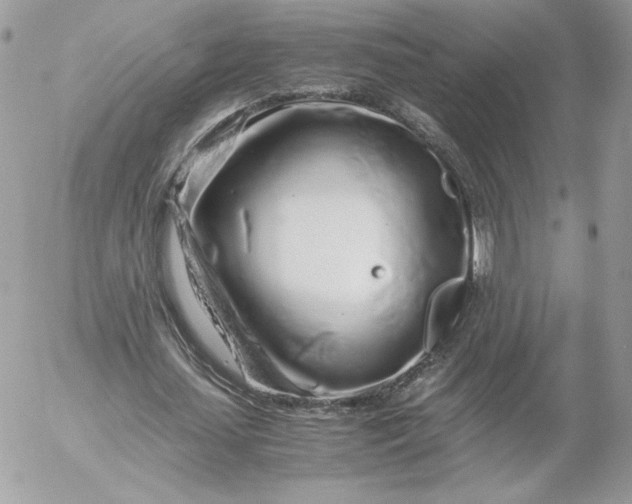 X0000052600627200507221635