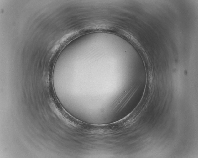 X0000052600629200507221635