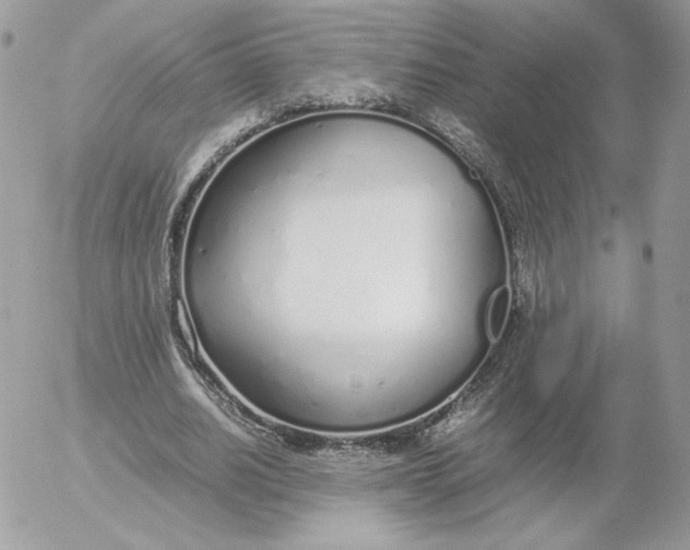 X0000052600630200507221635