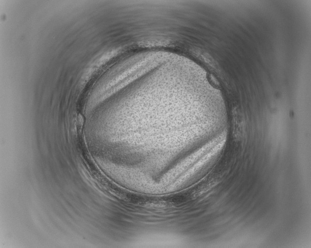 X0000052600631200507221635