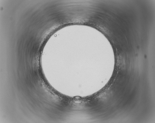 X0000052600632200507221635