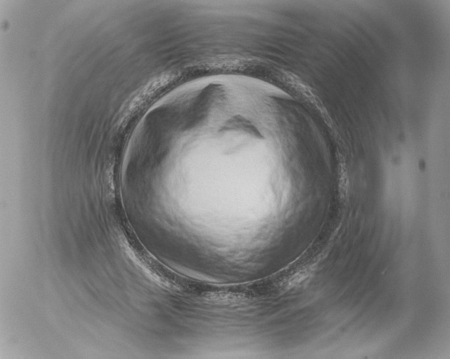 X0000052600633200507221635