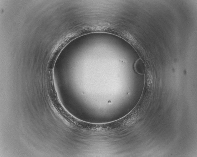 X0000052600634200507221635