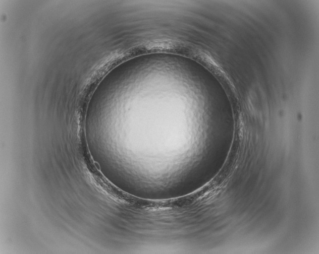 X0000052600637200507221635