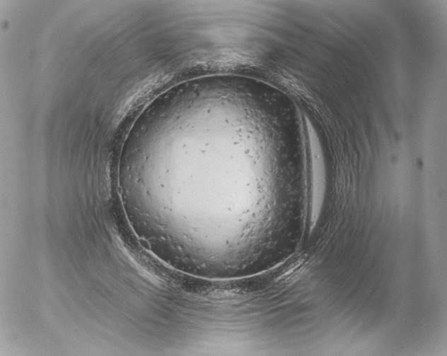 X0000052600638200507221635