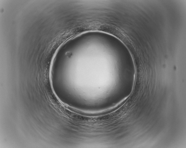 X0000052600641200507221635