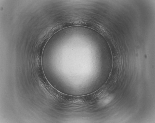 X0000052600643200507221635