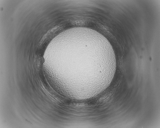 X0000052600645200507221635