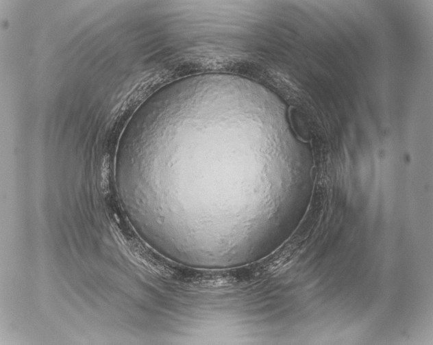 X0000052600646200507221635