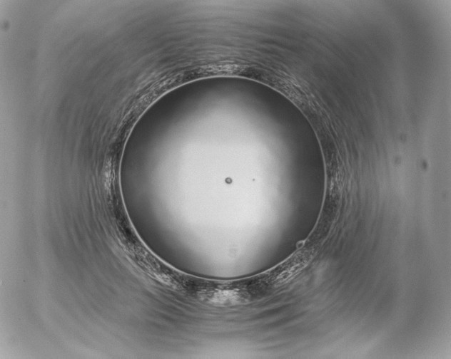 X0000052600647200507221635