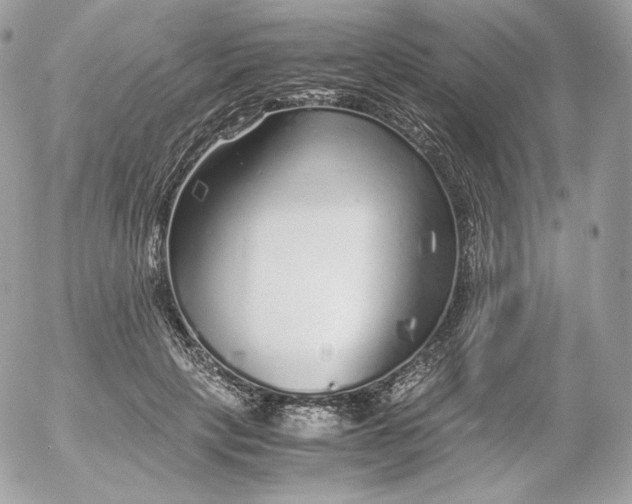 X0000052600649200507221635