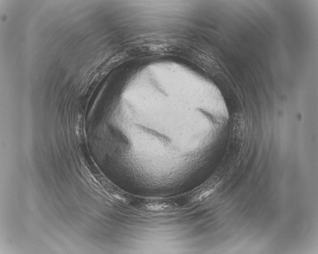 X0000052600650200507221635