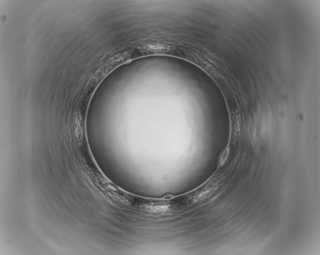 X0000052600651200507221635