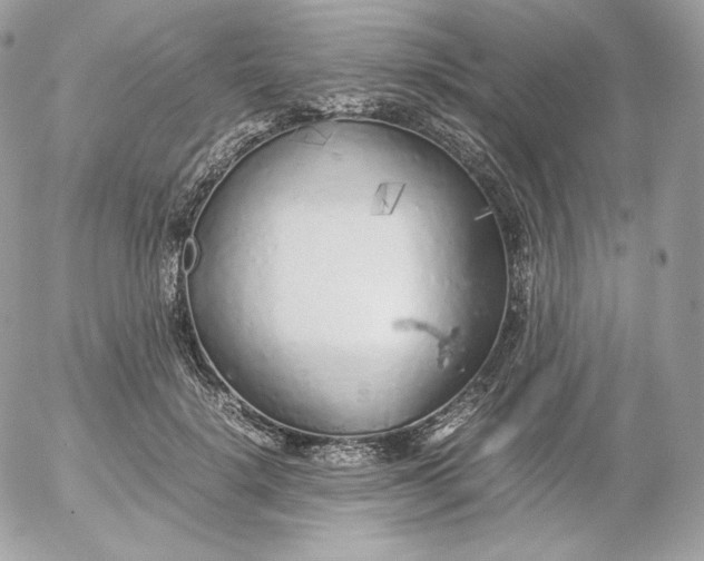 X0000052600652200507221635