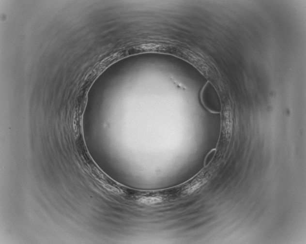 X0000052600653200507221635