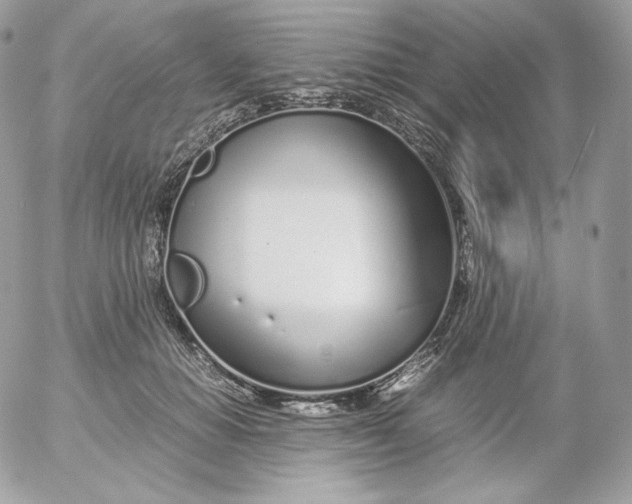 X0000052600654200507221635