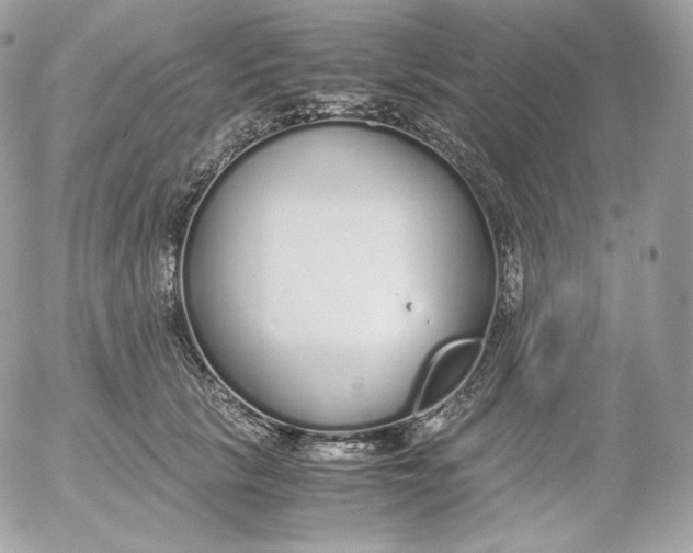 X0000052600657200507221635