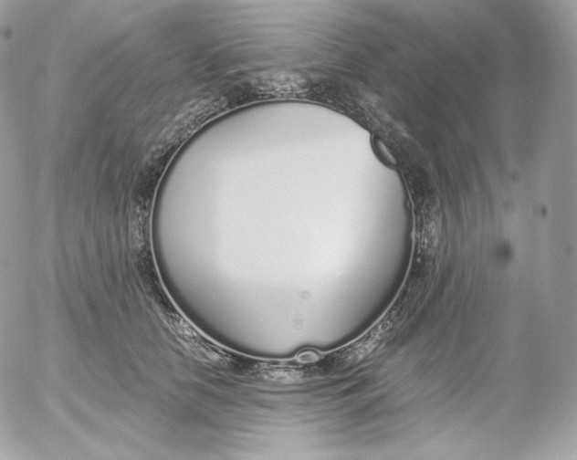 X0000052600658200507221635