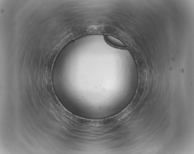 X0000052600659200507221635