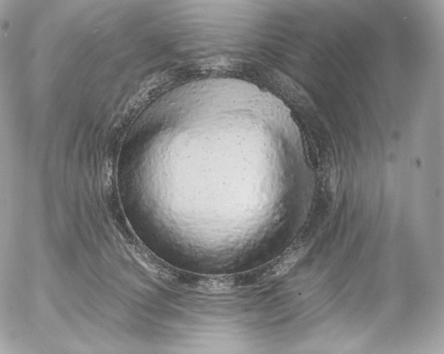 X0000052600660200507221635