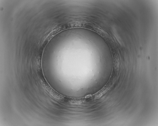 X0000052600661200507221635