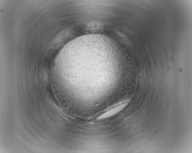 X0000052600662200507221635