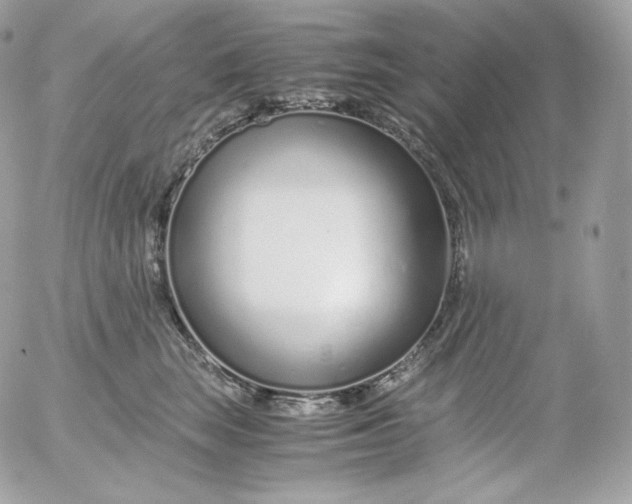 X0000052600663200507221635