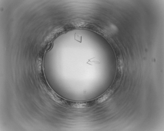 X0000052600664200507221635