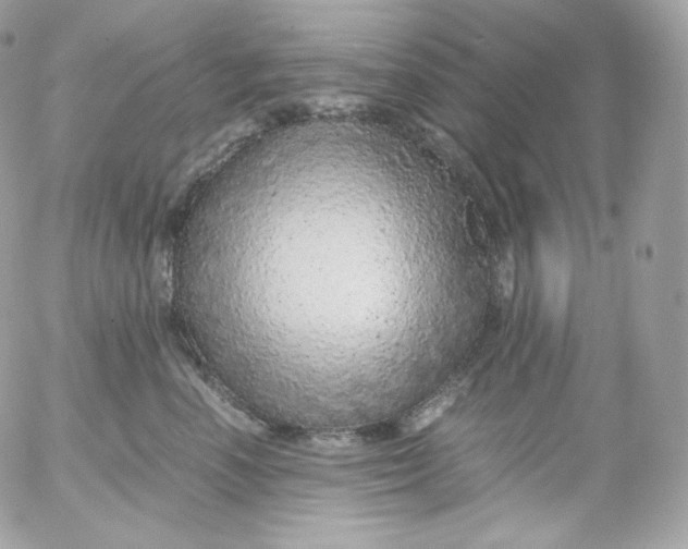 X0000052600666200507221635