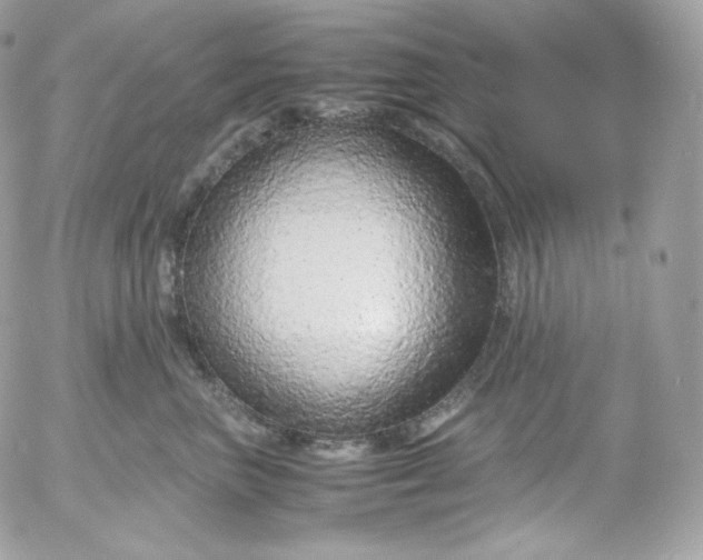 X0000052600667200507221635