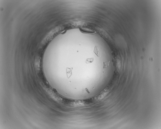 X0000052600668200507221635