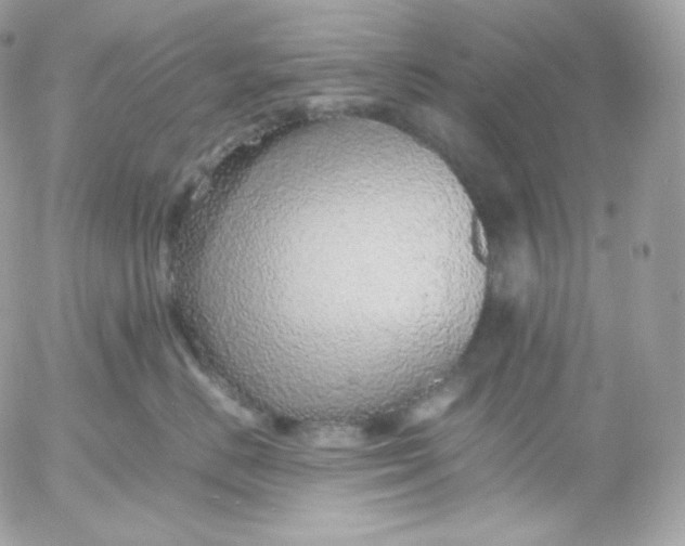 X0000052600670200507221635