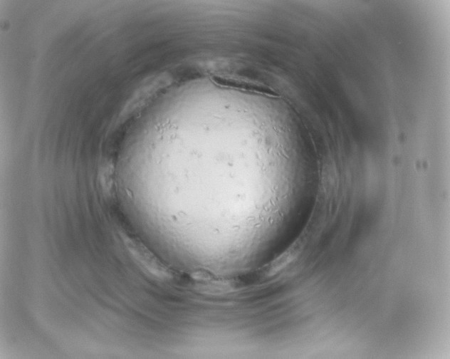 X0000052600671200507221635