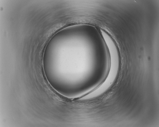 X0000052600673200507221634