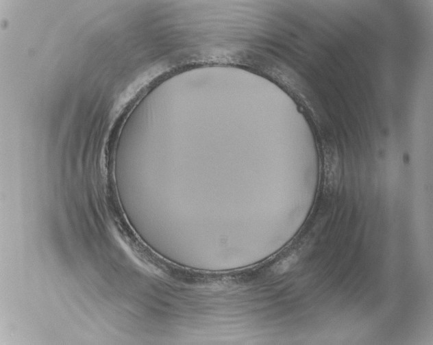 X0000052600674200507221634