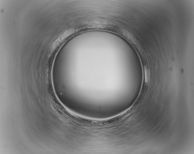 X0000052600675200507221634